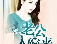 陈风李佳佳柳碗小说,陈风与李佳佳的传奇之旅