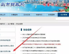 青岛市会计信息,洞察岛城财务脉搏
