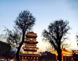 临洮娱乐