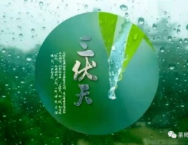 加长版三伏天来了,养生攻略与防病锦囊大揭秘”