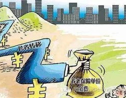 养老金转移,跨省流动就业者的退休保障攻略