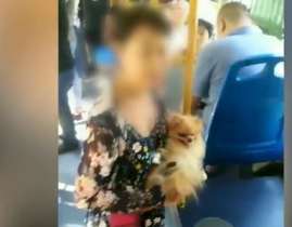 大妈坐公交被踹下车,道德与法治的碰撞