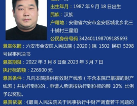 六安中院最新通知,重整程序进入关键阶段”