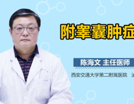 什么是附睾,男性生殖系统中不可或缺的储存与成熟场所
