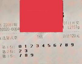 排列三开奖时间,洞察彩票走势的奥秘”