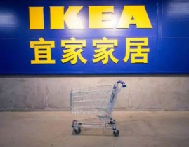 拜仁2-3波鸿格雷罗双响帕利尼亚染红及安东尼帮贝蒂斯三球大逆转暗意无心沉返曼联！曝拜仁或出席争取及记载2024“高光时期”！南海影响力十件大事！剑南春｜连丢三球