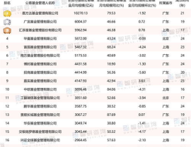中国十大基金公司排名,十大基金公司实力盘点