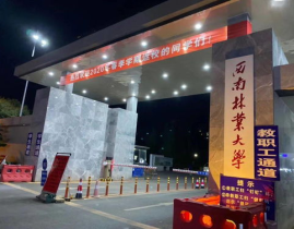 西南林业大学吃瓜网盘,揭秘校园生活新潮流