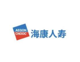 海康人寿保险有限公司,合资寿险巨头的发展历程与未来展望