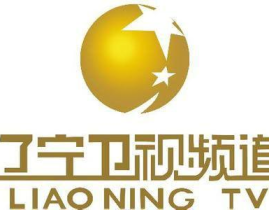 辽宁卫视电视直播,全方位了解辽宁，尽享视听盛宴