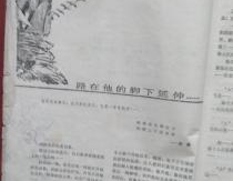 家延轮乱小说目录,错综复杂的家族纠葛与情感漩涡