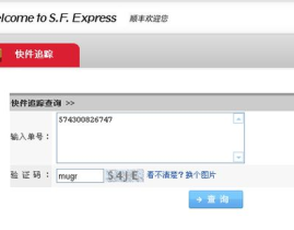 顺丰速运运单查询,高效追踪，便捷体验