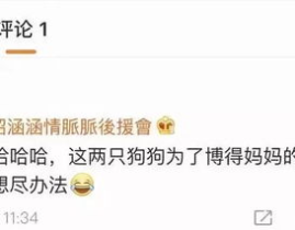 吃瓜娱乐企业号,百家号与微信公众号的运营策略与数据表现”