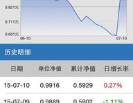 163115基金,投资策略、业绩表现与未来展望