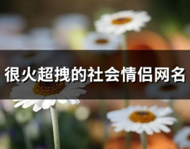 不离不弃网名,见证爱情恒久承诺的昵称精选