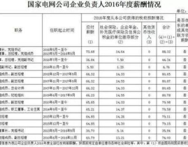 国家电网一般工资多少,一般工资水平一览