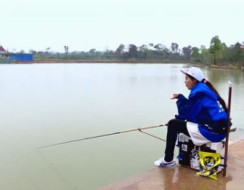 沼泽可以钓鲫鱼吗视频大全视频,视频大全深度解读