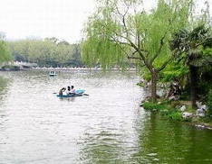 长风公园门票,免费入园畅游，海洋世界门票攻略