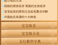 在线起名字,起名艺术与创意实践