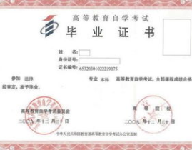 自考本科专业,多元化选择，助力个人成长与职业发展